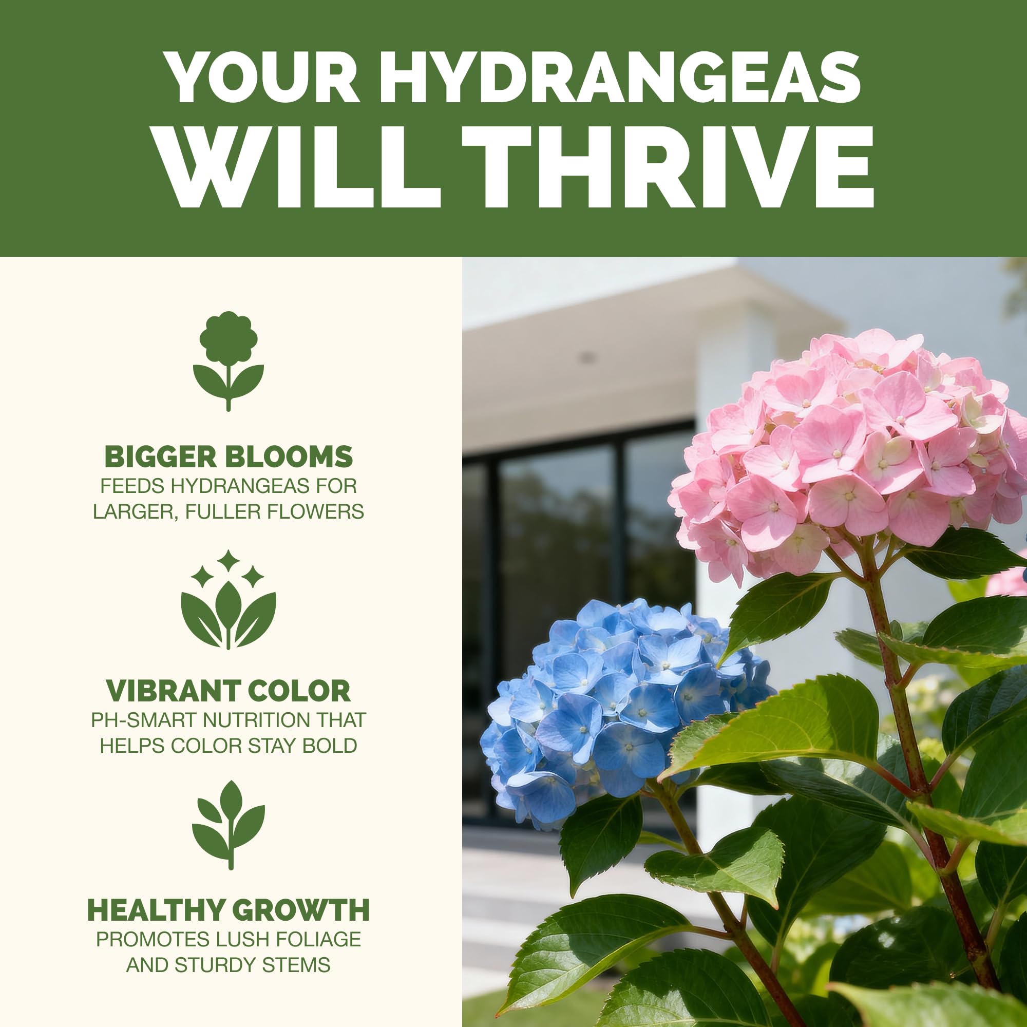 TPS NUTRIENTS etiqueta con instrucciones claras y beneficios para hortensias