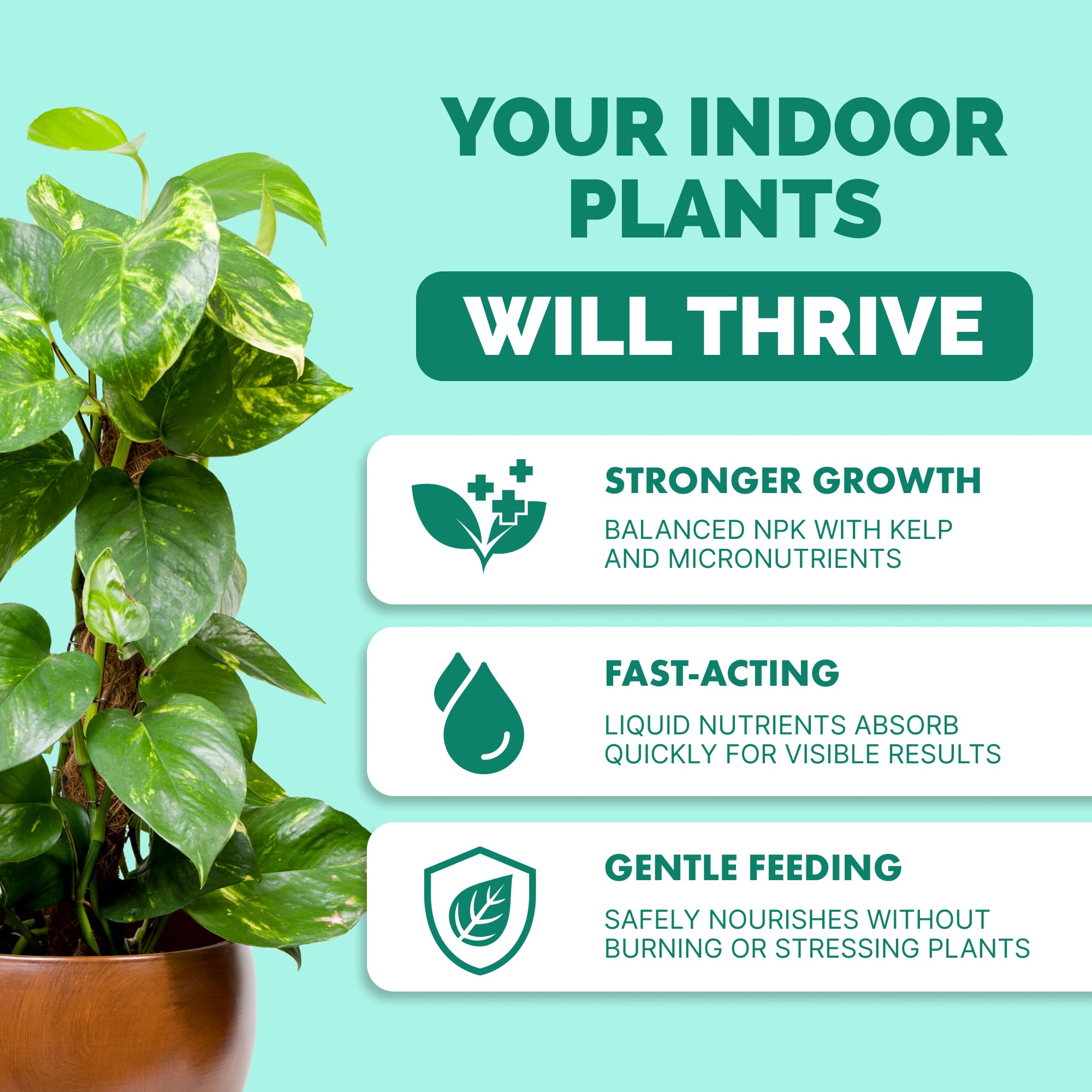 TPS NUTRIENTS textura del líquido clara para absorción rápida