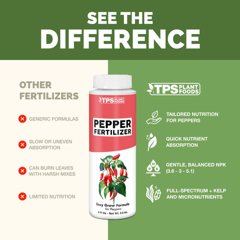 TPS NUTRIENTS aplicando fertilizante a maceta de pimiento para mejor crecimiento