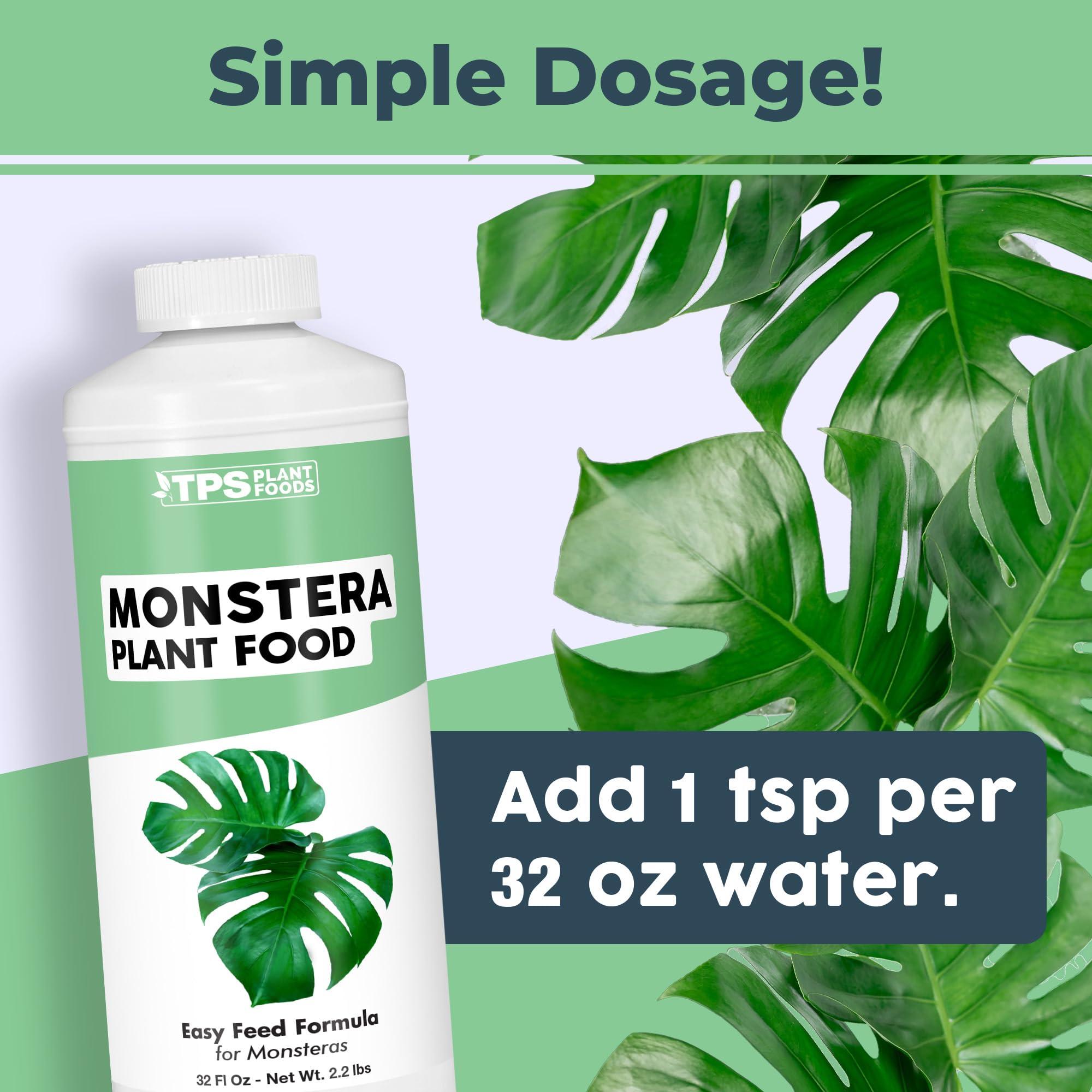 TPS NUTRIENTS aplicando fertilizante a Monstera para hojas más grandes