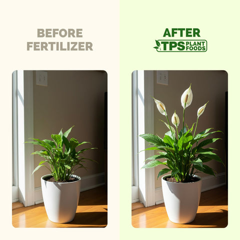 TPS NUTRIENTS etiqueta informativa con instrucciones y beneficios visibles