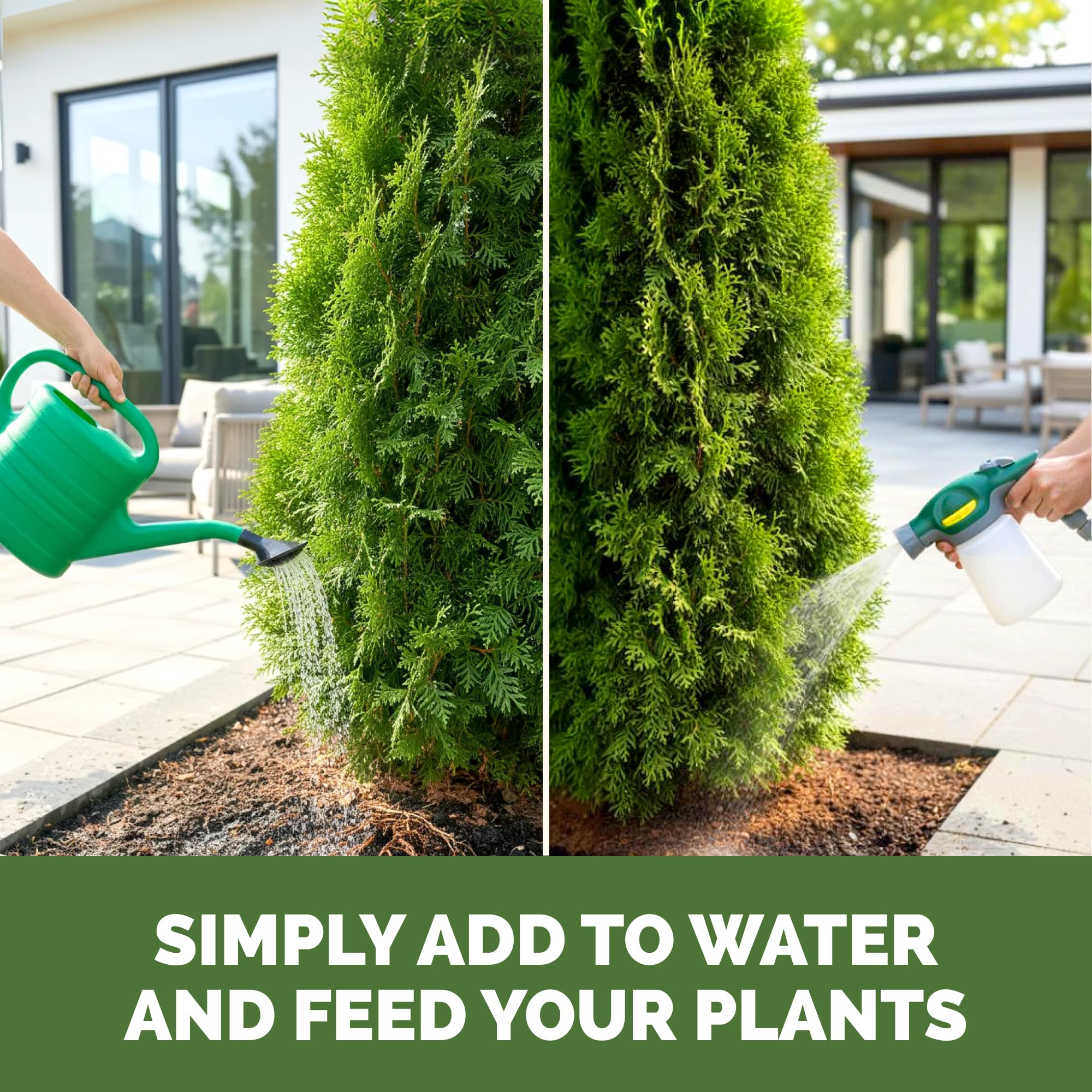 TPS NUTRIENTS follaje de arborvitae más verde y denso
