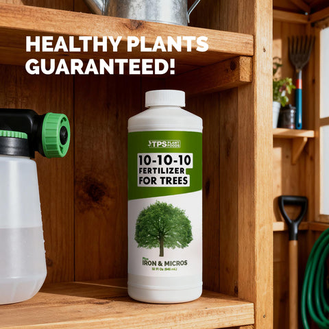 TPS NUTRIENTS hojas verdes y vigorosas tras aplicaciones regulares