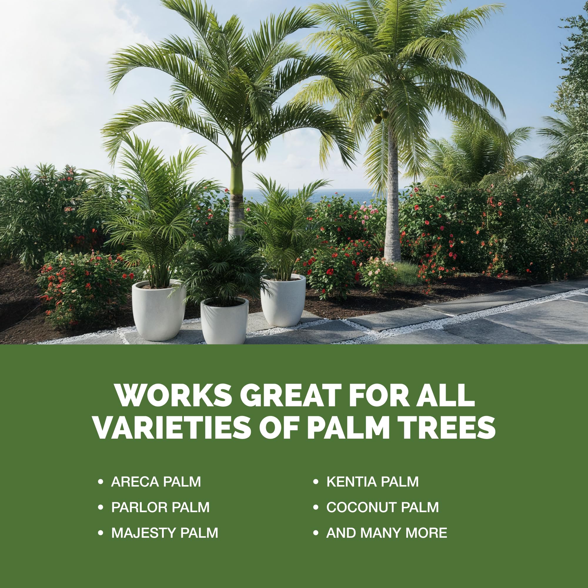 TPS NUTRIENTS palmera en jardín tras fertilización, demuestra frondas más verdes