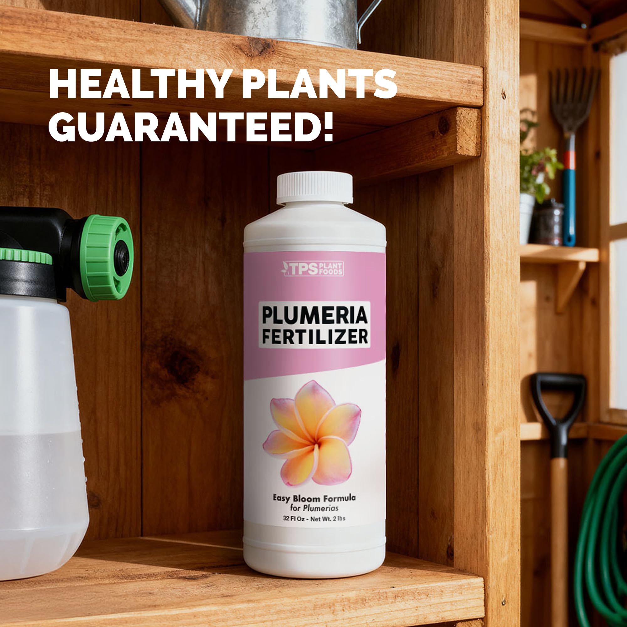 TPS NUTRIENTS plumerias con flores vibrantes tras uso regular del fertilizante