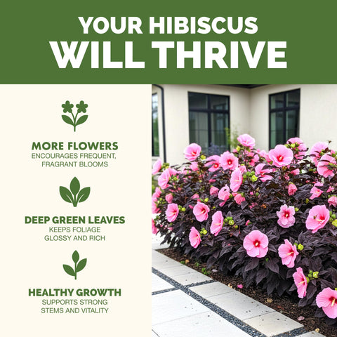 TPS NUTRIENTS etiqueta detallada indicando uso para hibiscus y beneficios claros