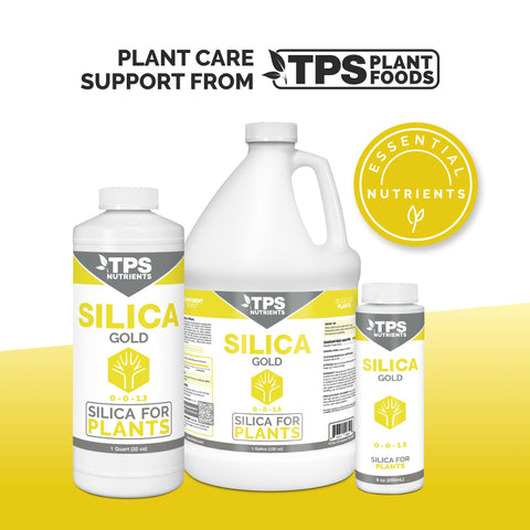 TPS NUTRIENTS integrando Silica Gold en línea de riego automatizada