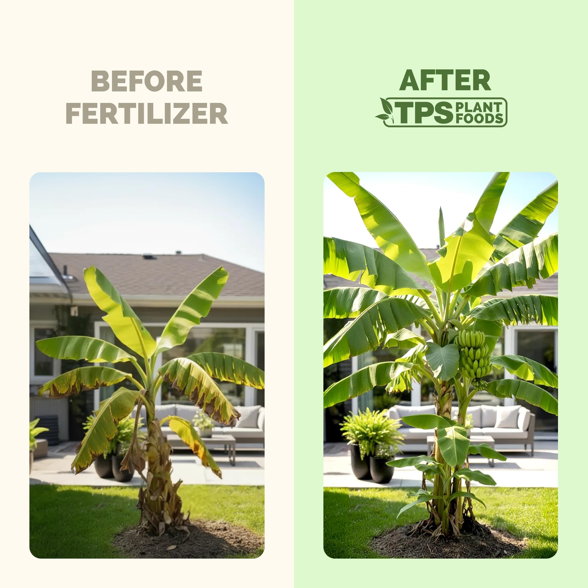 TPS NUTRIENTS gota del fertilizante líquido ilustrando absorción rápida
