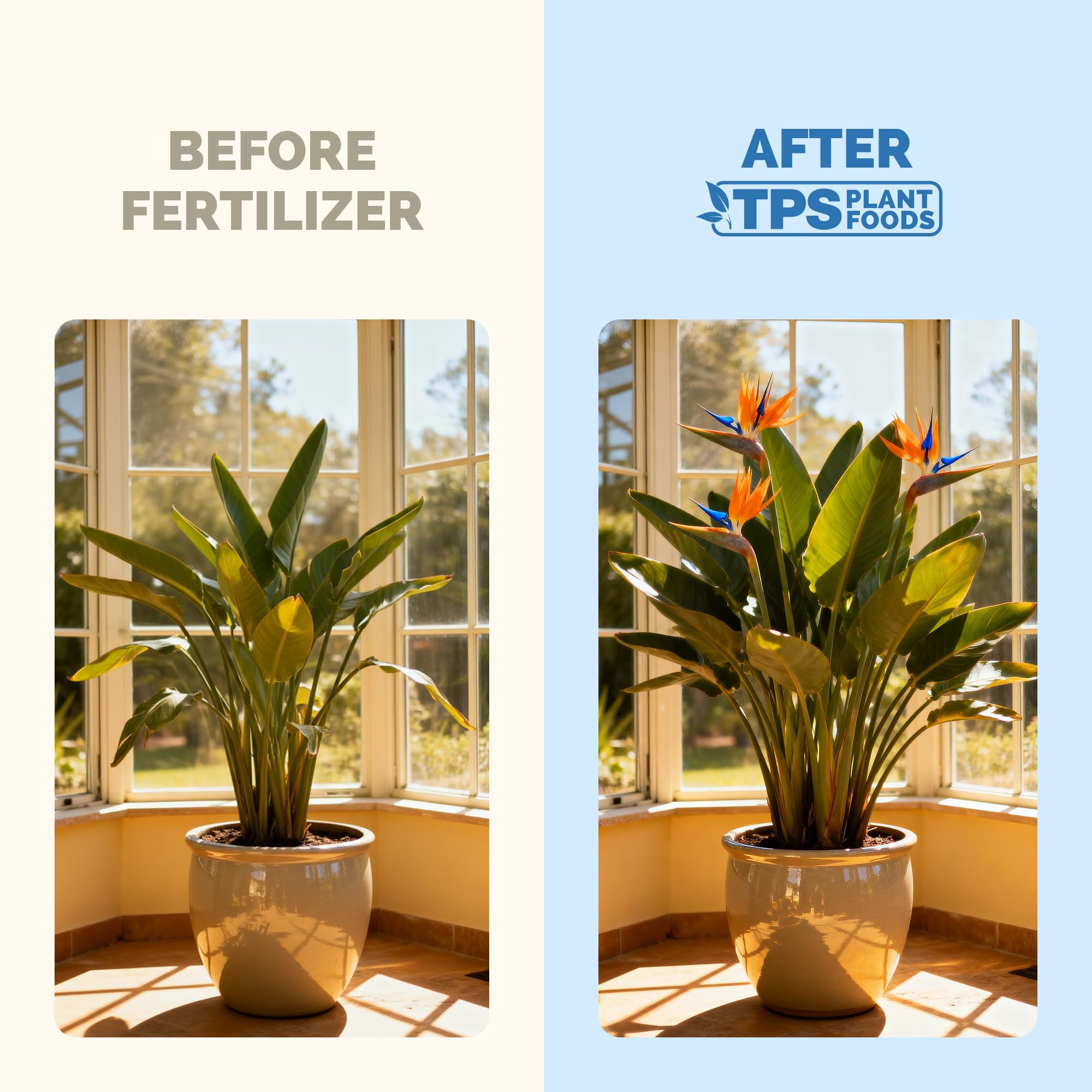 TPS NUTRIENTS textura del líquido vertido, beneficio: mezcla soluble y homogénea