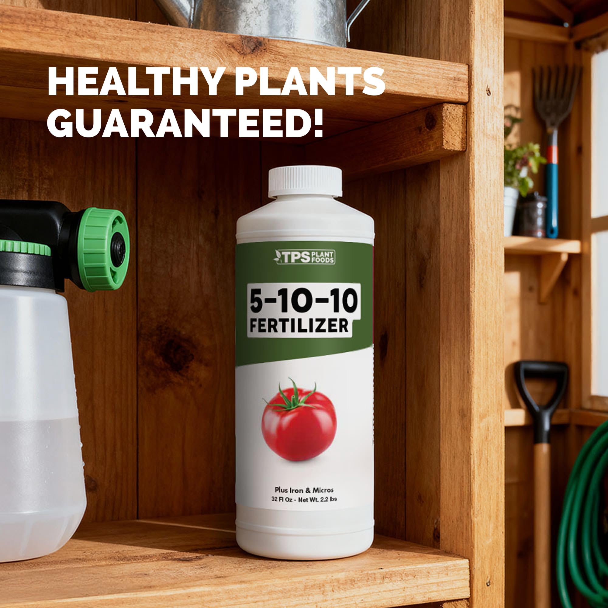 TPS NUTRIENTS fertilizando plantas de tomate para mejor fructificación