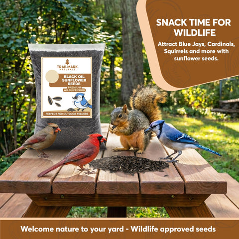 TRAILMARK NATURALS semillas en comedero tolva facilitando alimentación continua