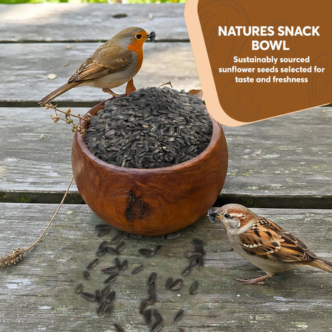 TRAILMARK NATURALS aves en plataforma consumiendo semillas, mejora de avistamiento