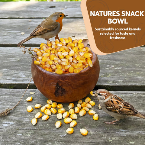 TRAILMARK NATURALS maíz dispersado para patos, alimento accesible y nutritivo