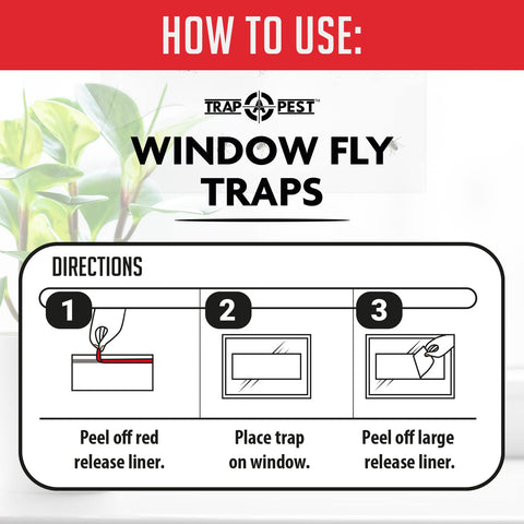 TRAP A PEST trampas en cocina mostrando uso cotidiano y protección sin químicos