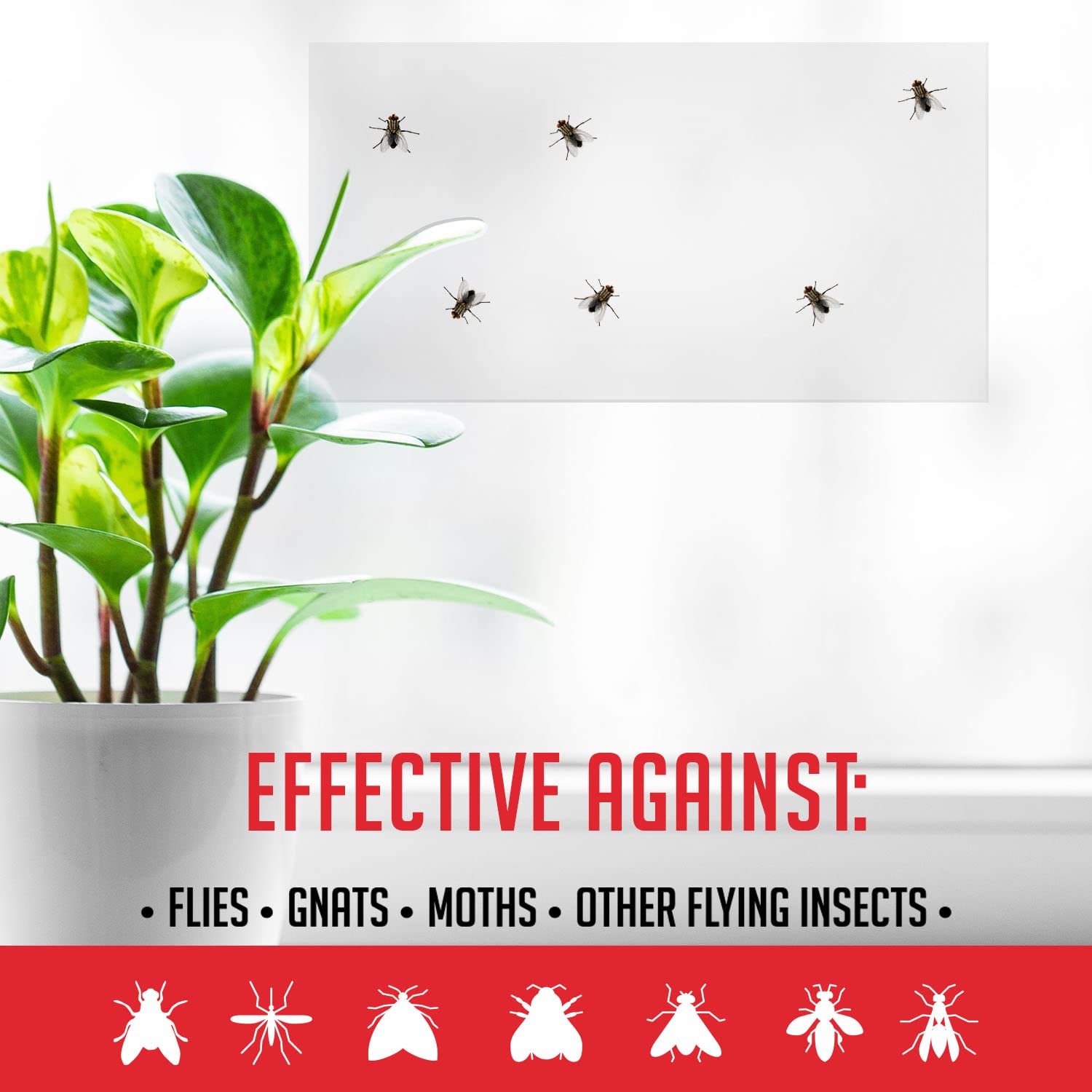 TRAP A PEST comparación de tamaño junto a mano para ver escala y facilidad de instalación
