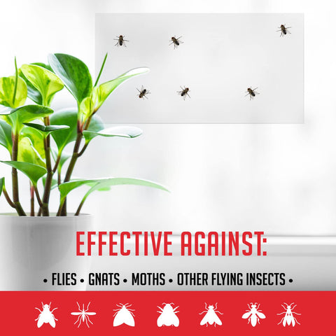 TRAP A PEST comparación de tamaño junto a mano para ver escala y facilidad de instalación