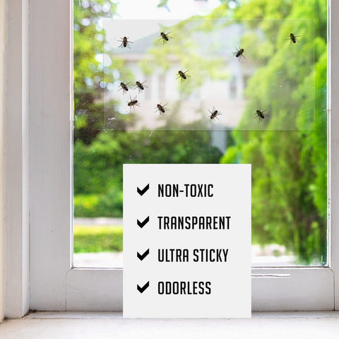 TRAP A PEST primer plano del adhesivo transparente que muestra su captura y sin olor
