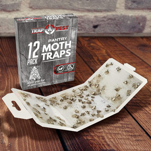 TRAP A PEST ambiente de cocina mostrando discreción y protección visual