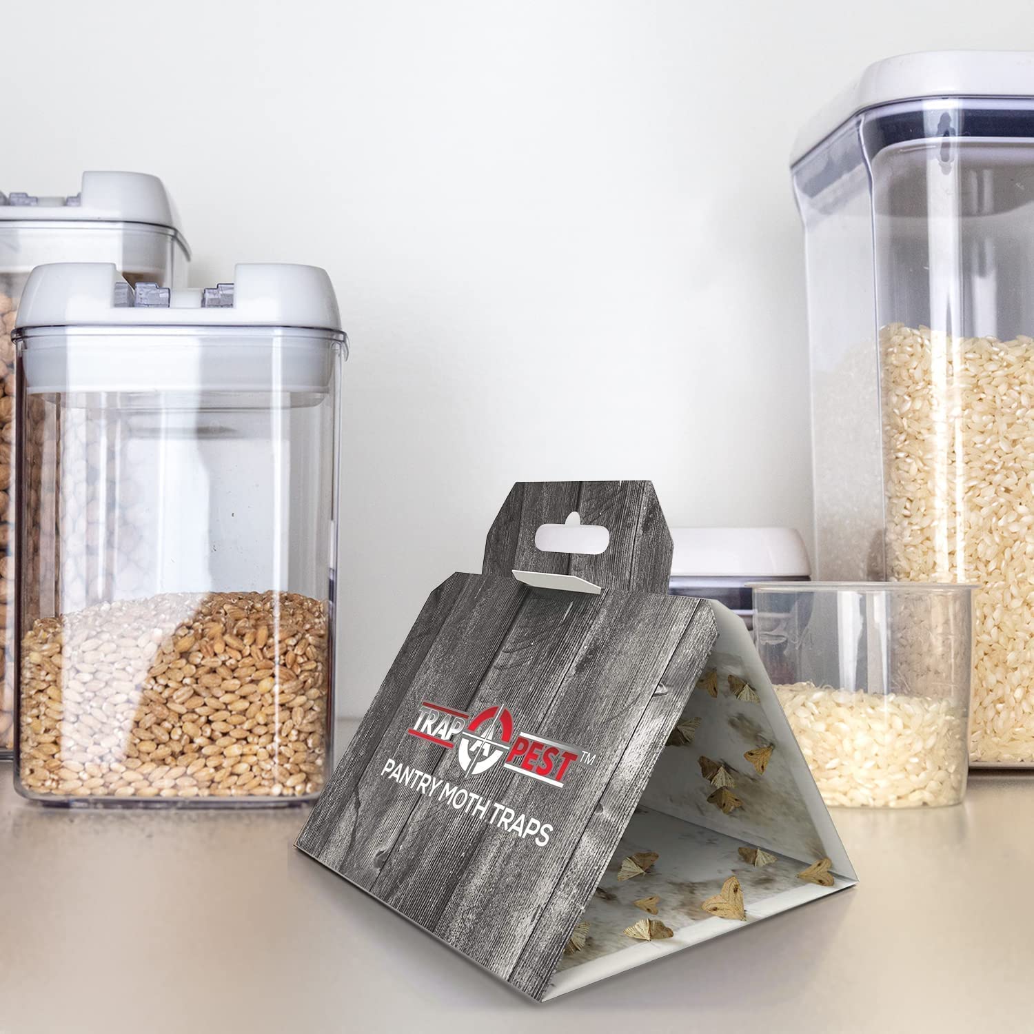 Trap A Pest trampa plegada lista para colocar, montaje rápido y simple