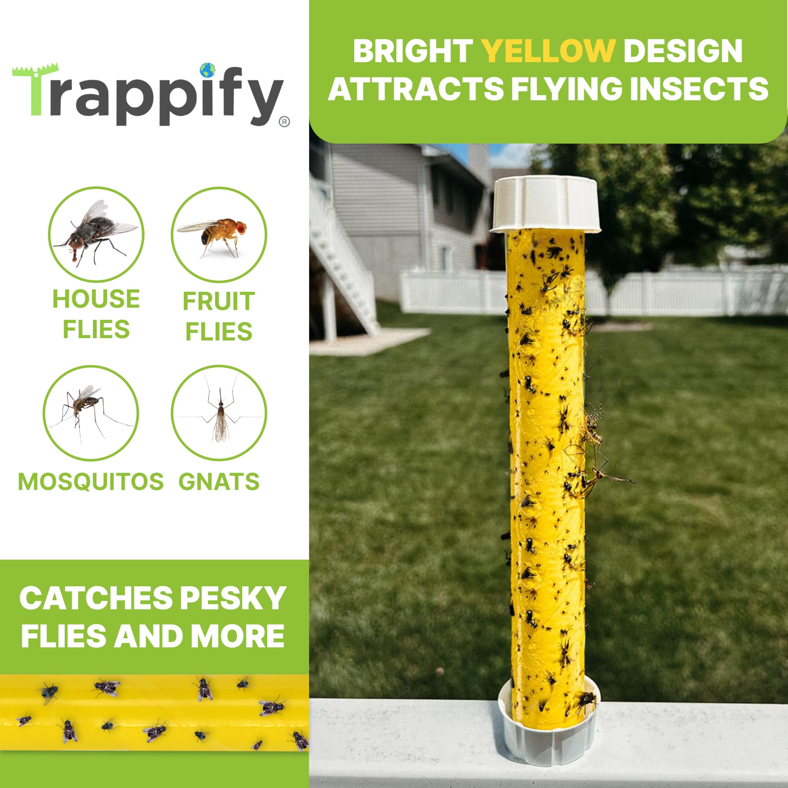 Trappify copa de cebo con miel para acelerar capturas de moscas