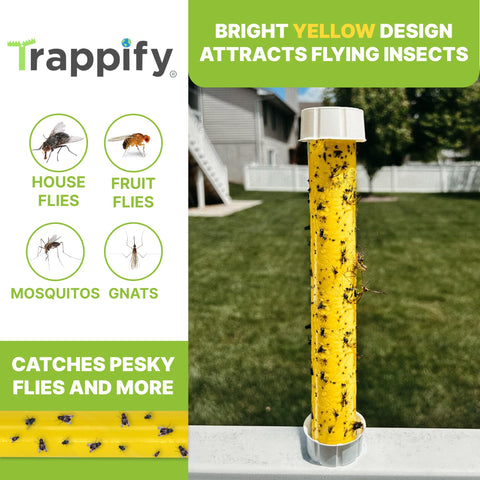 Trappify copa de cebo con miel para acelerar capturas de moscas