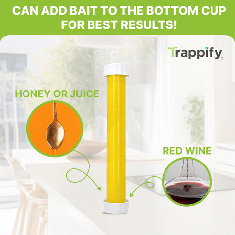 Trappify cuatro trampas desplegadas en mesa listas para colgar