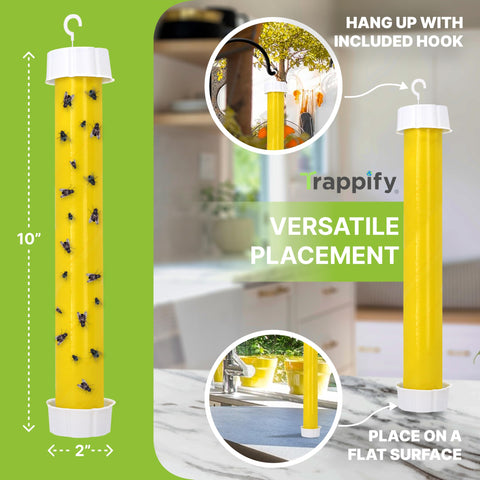 Trappify tamaño comparativo en mano para visualizar escala práctica