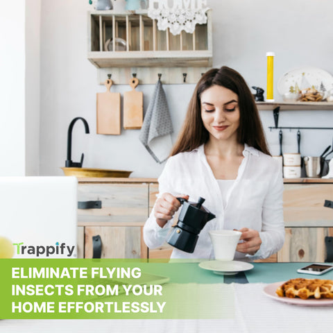 Trappify colocada interior junto a basura reduciendo insectos domésticos