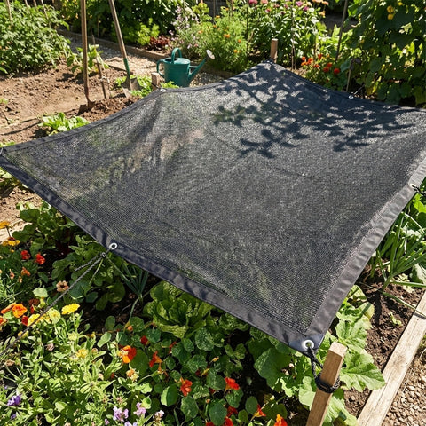 TrekXGD comparación tamaño 8x10ft para planificación de espacios
