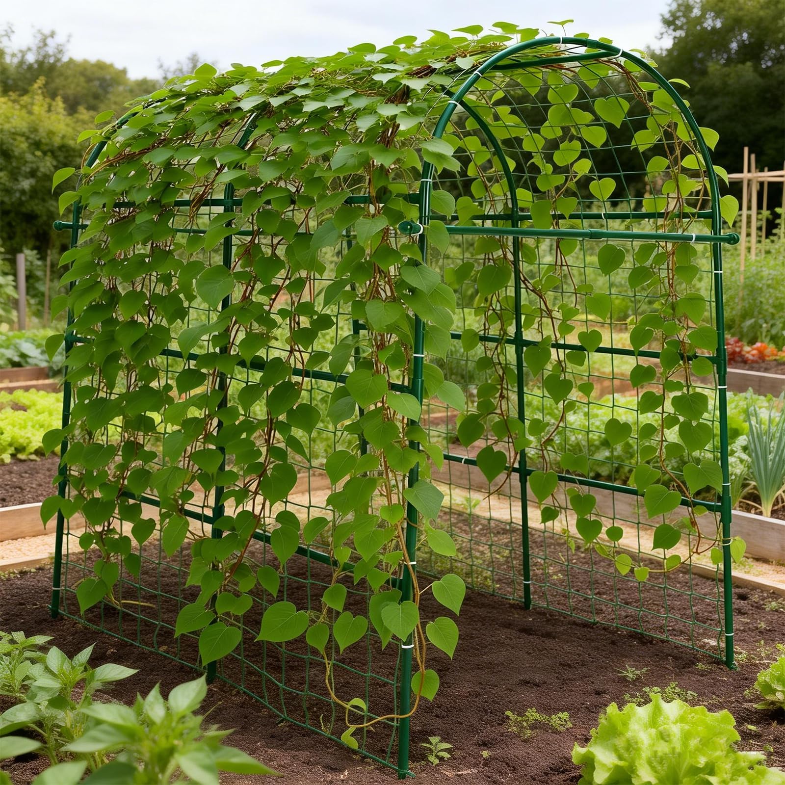 Trellume arco instalado en jardín creando pasillo verde estético