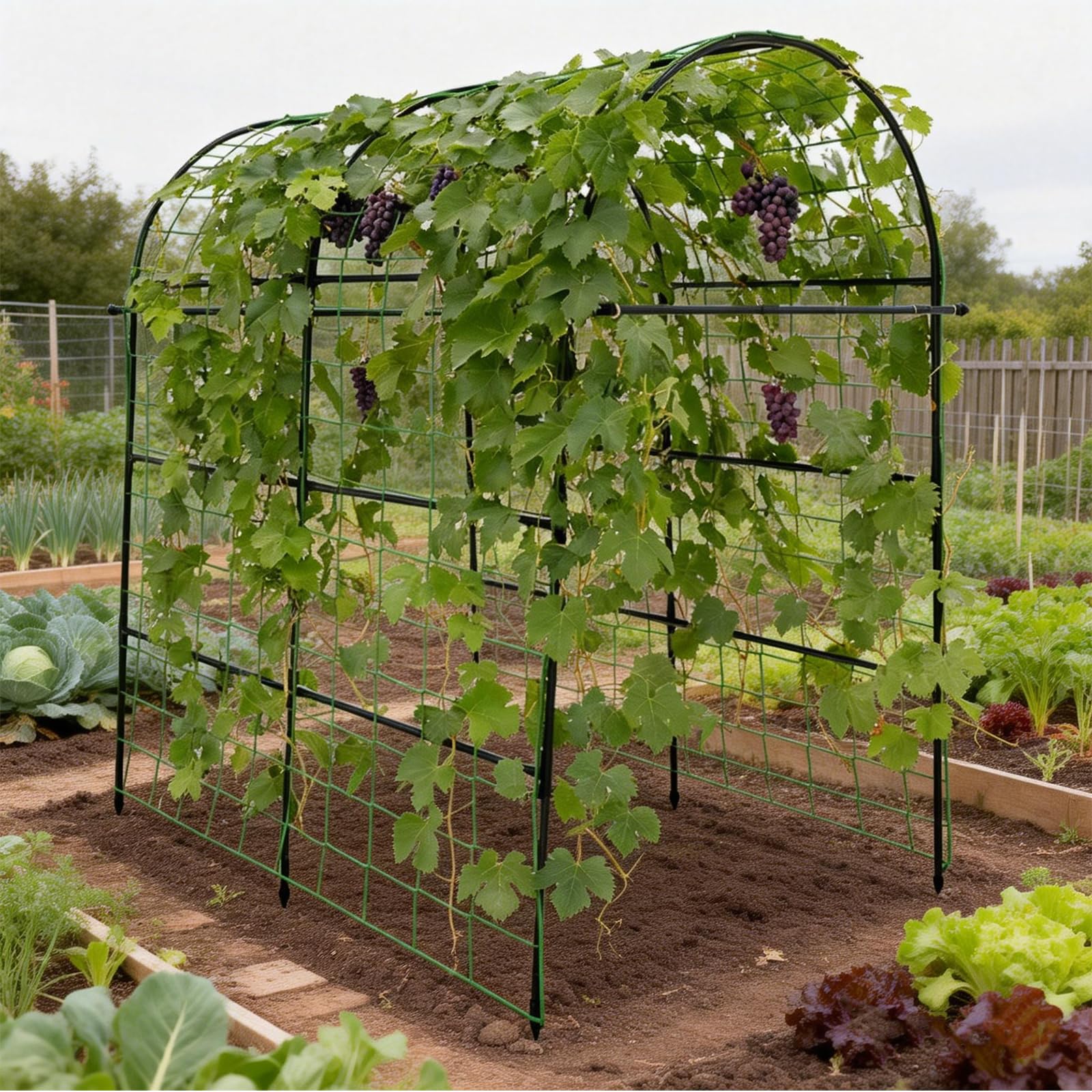 Trellume arco instalado en jardín realza plantas y organiza cultivo