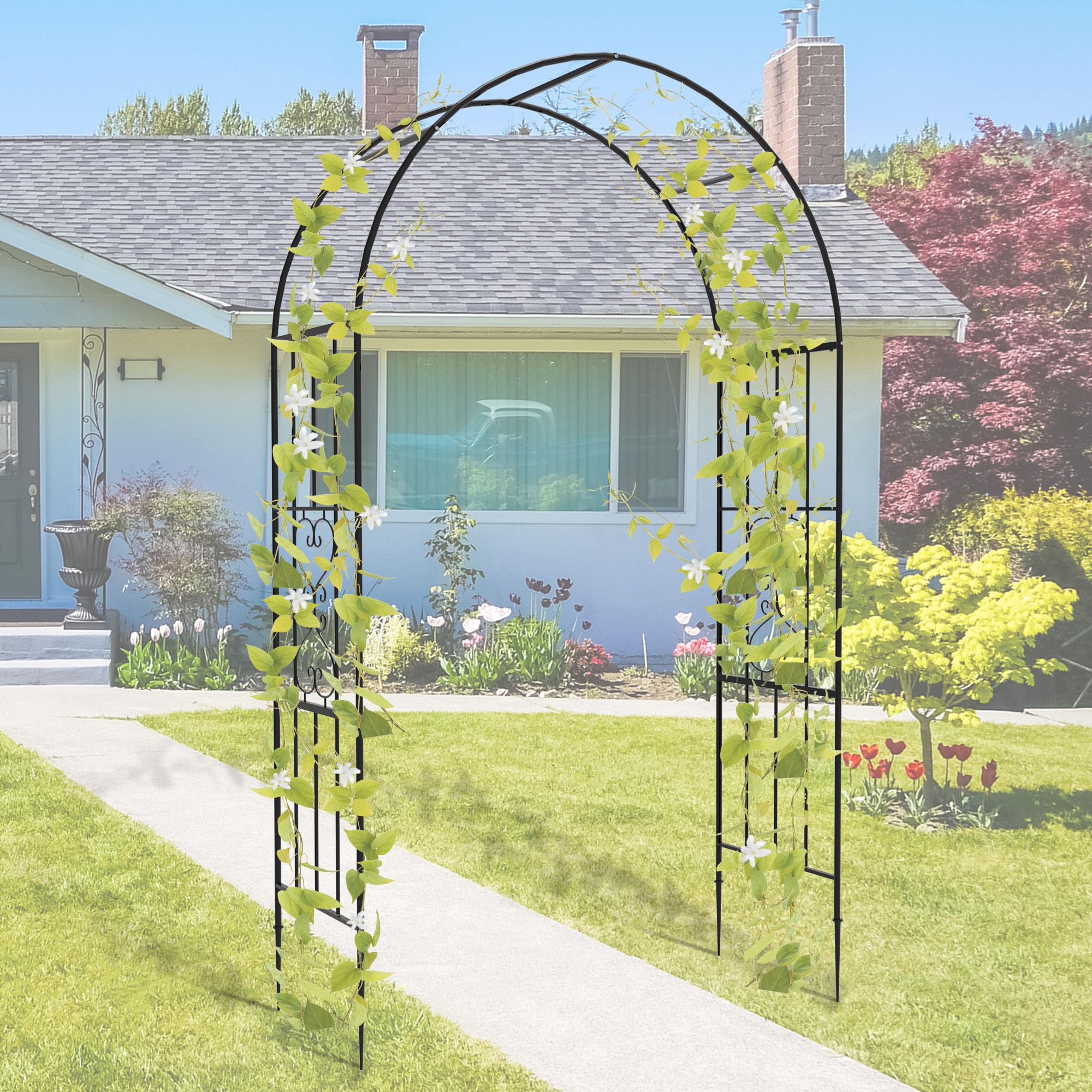 Trellume arco junto a persona para escala, muestra altura práctica