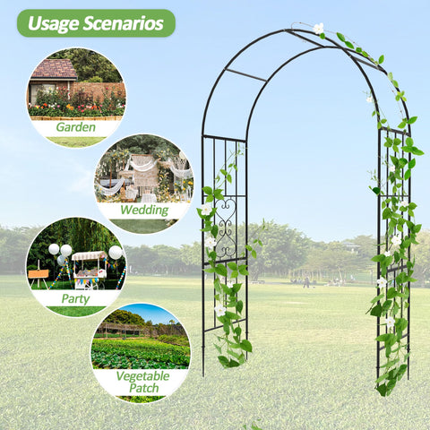 Trellume arco con rosas trepadoras, facilita crecimiento y sujeción