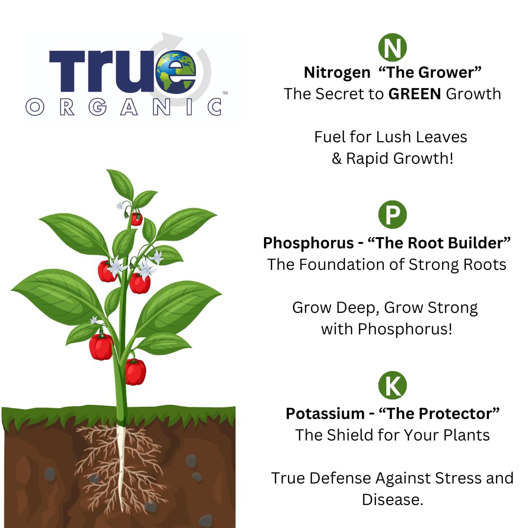 True Organic hojas verdes y vigorosas en árbol de cítrico, folíolo sano visible