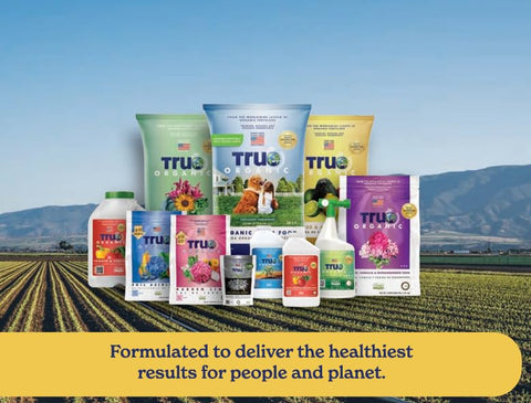 True Organic textura del fertilizante líquido mostrando apariencia clara y concentrada