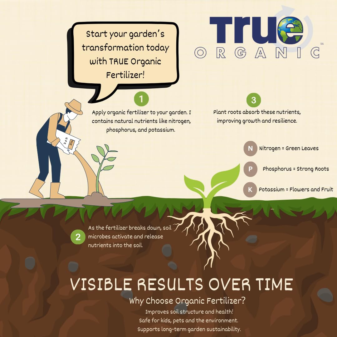 True Organic hierbas frescas cosechadas en cocina para uso culinario