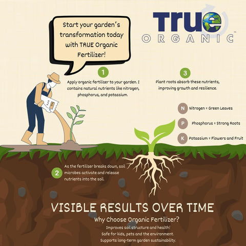 True Organic hierbas frescas cosechadas en cocina para uso culinario