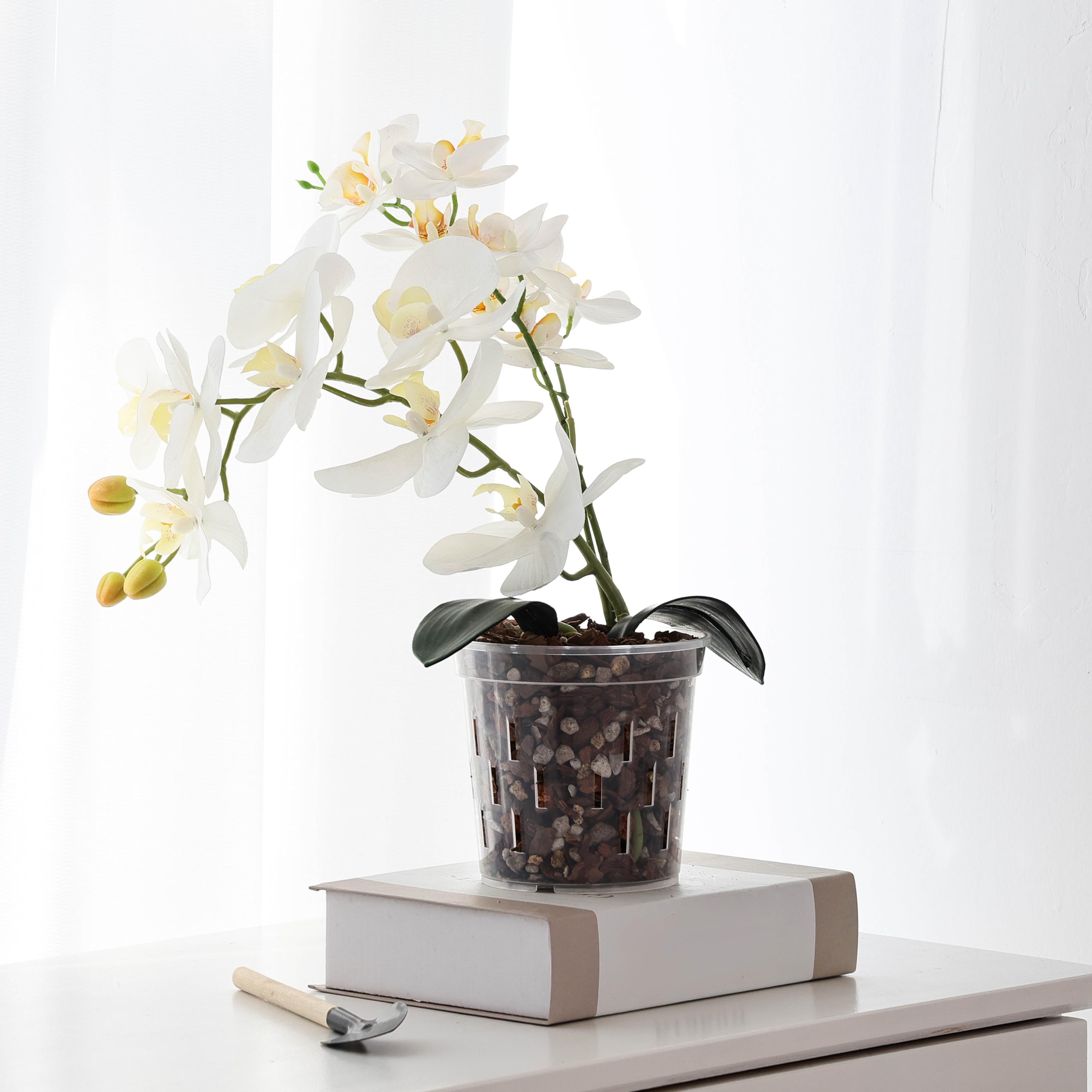 TRUEDAYS orquídea con raíces visibles para control de salud