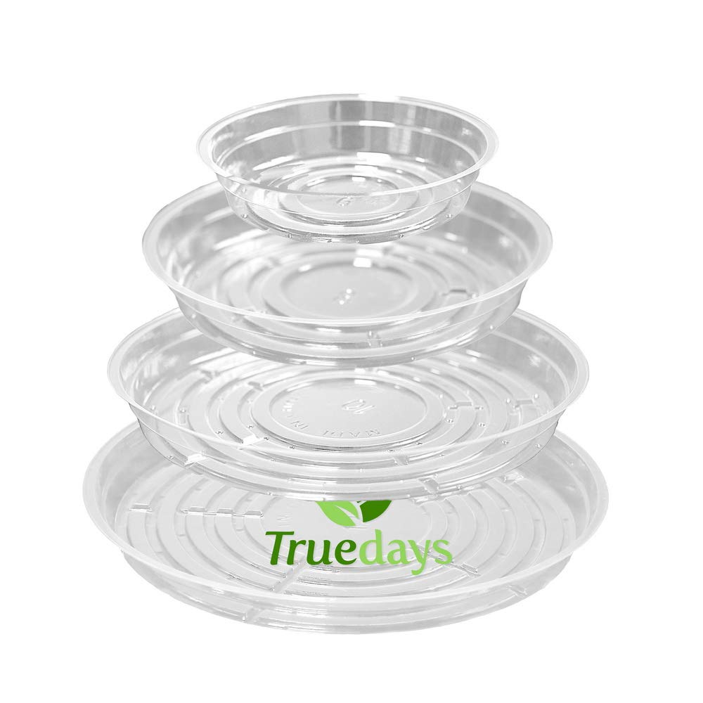 TRUEDAYS plato frontal del empaque muestra las cuatro tallas y orden