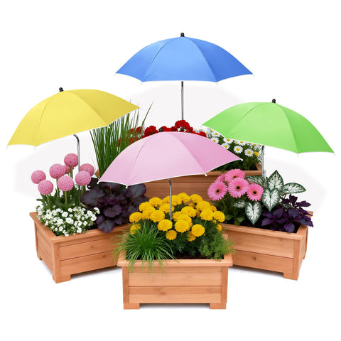 Tryly vista frontal del pack de 4 sombrillas mostrando colores y beneficio decorativo