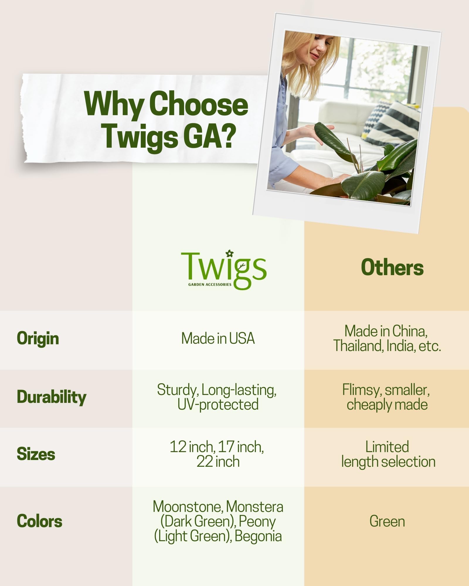 Twigs GA en maceta sosteniendo pothos, facilita crecimiento guiado
