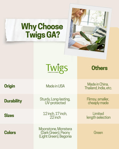 Twigs GA en maceta sosteniendo pothos, facilita crecimiento guiado