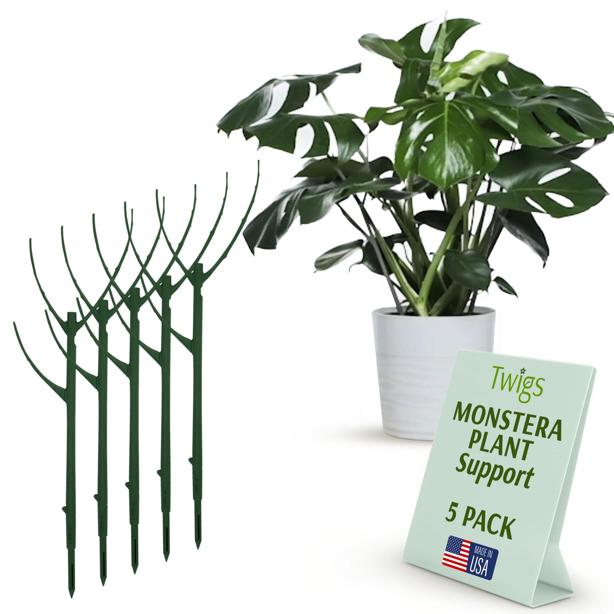 Twigs Ga paquete frontal muestra 5 estacas, soporte estético