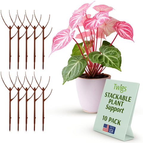 Twigs GA imagen frontal del paquete Begonia Red, soporte discreto y decorativo