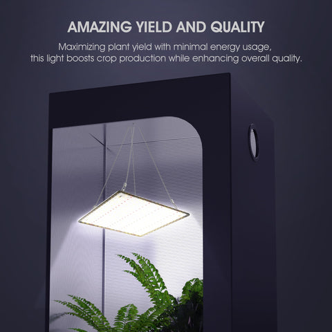 Uallhome iluminación sobre plantas en floración mejora apariencia y desarrollo