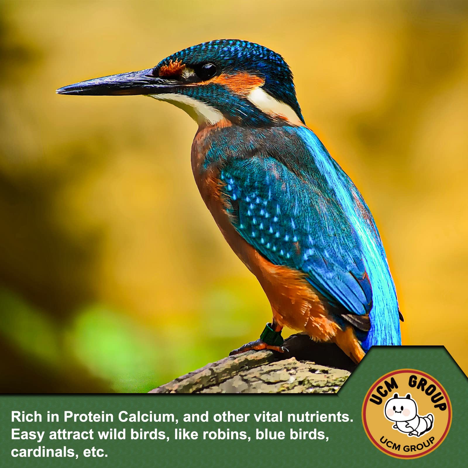 UCM GROUP etiqueta con información nutricional y beneficios para aves