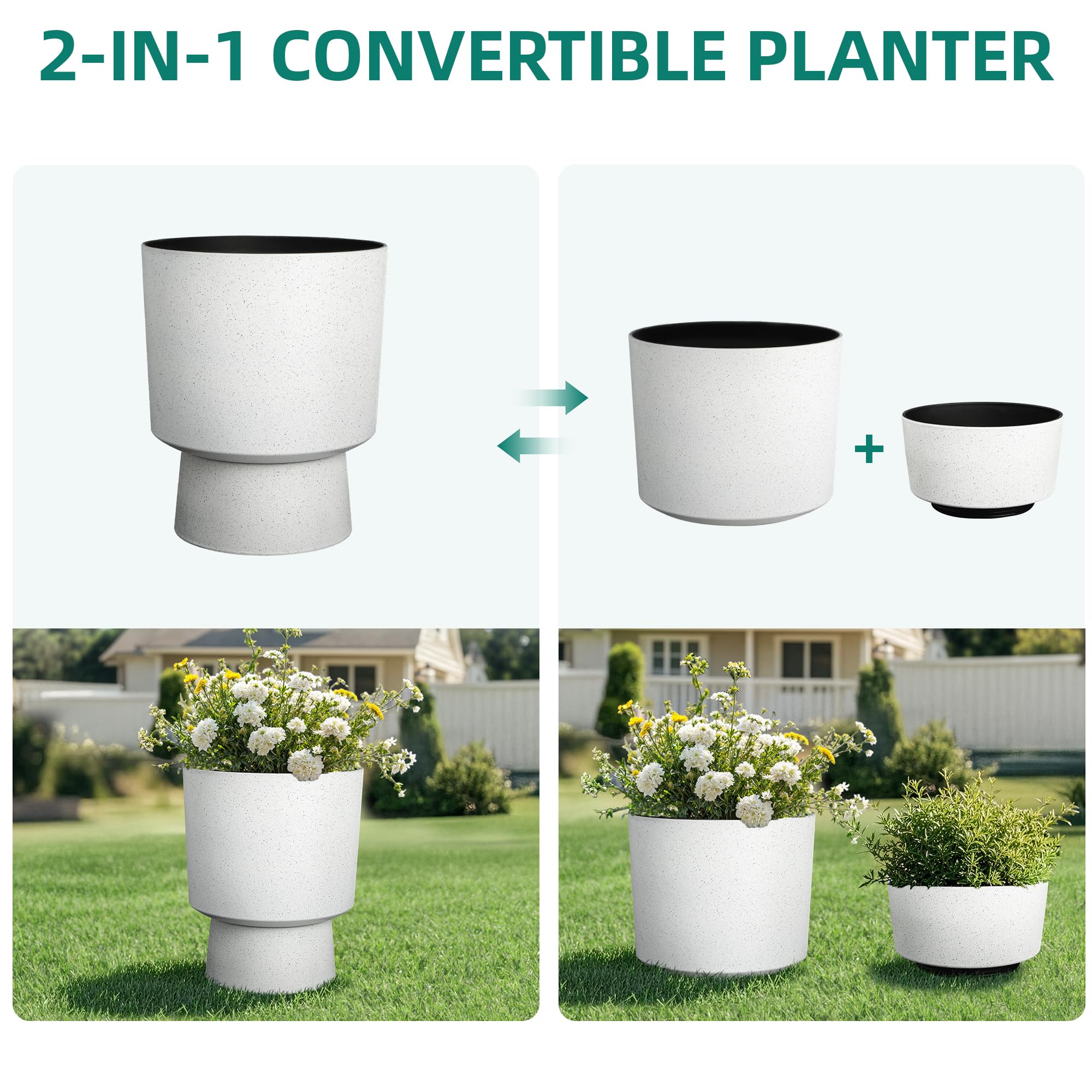 Ultym conjunto con plantas variadas demostrando capacidad y estilo