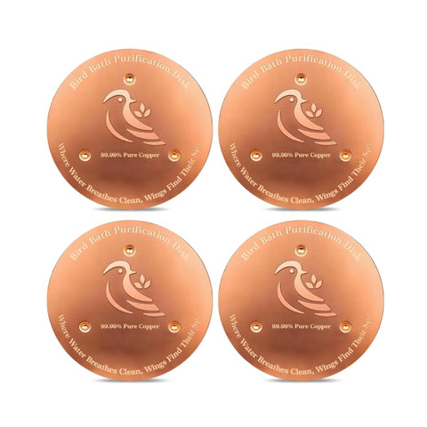 Ulycon disco frente del pack mostrando materiales y simplicidad