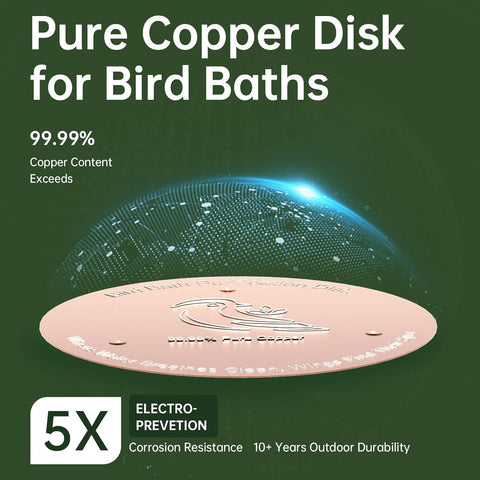 Ulycon disco colocado en baño de aves mostrando agua más limpia
