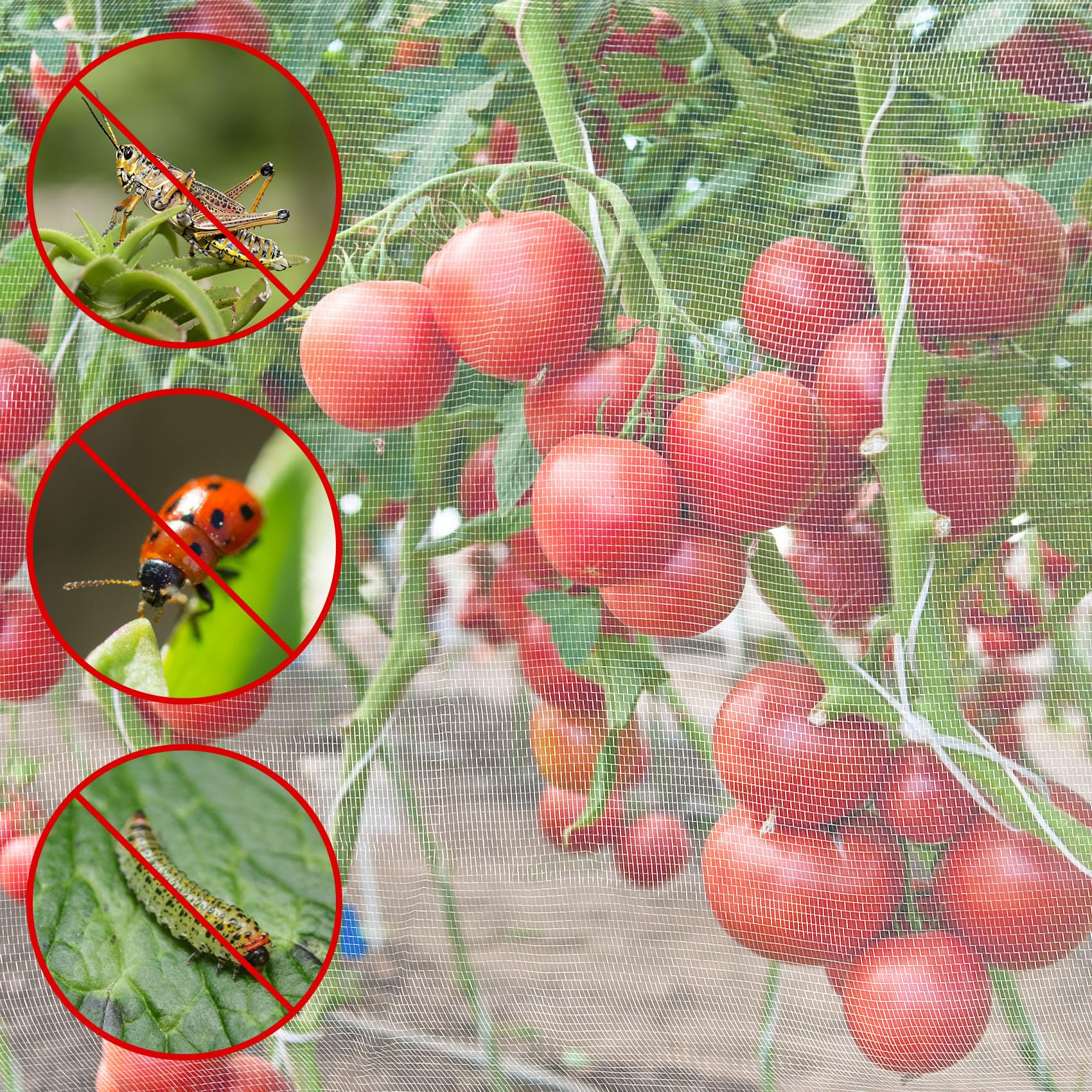 Unves detalle del tejido ultrafino que bloquea insectos